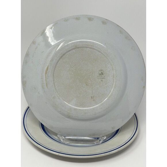 Arabia Finland Blue Rose Dinner Plate Flower 10" Hand Painted Set of 2 Vintage - Picture 3 of 7